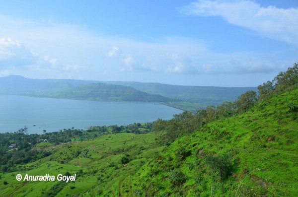 Landscape view of the Lake