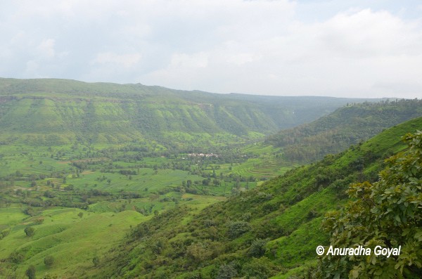 Valley view landscape