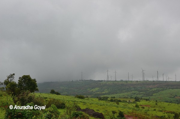 Satara Windmills