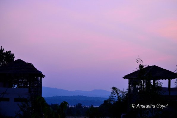 Satpura National Park view at dawn