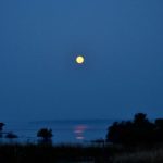 Moonlit Denwa Backwaters
