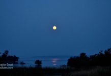 Moonlit Denwa Backwaters