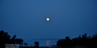 Moonlit Denwa Backwaters