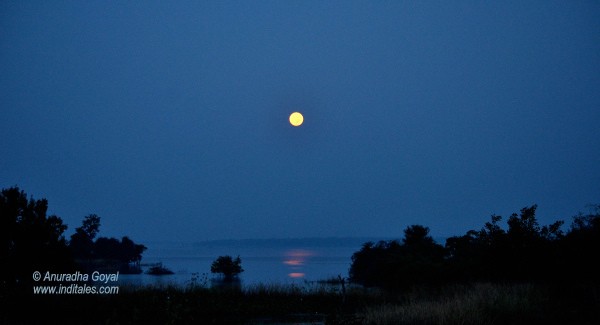 Moonlit Denwa Backwaters