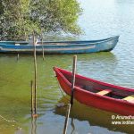 Boats at Moira Backwaters