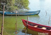Boats at Moira Backwaters