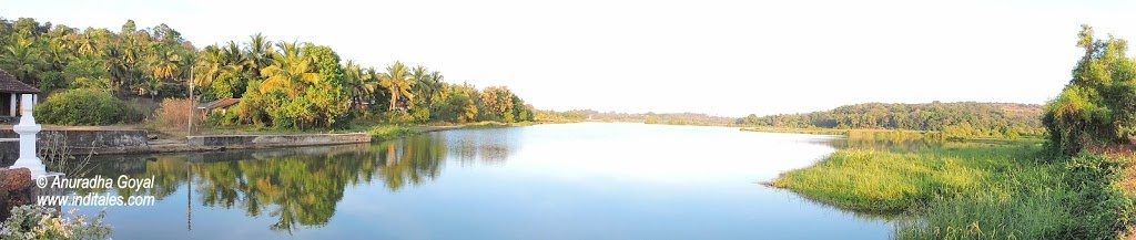 Panoramic view of Moira Backwaters, Goa