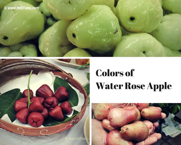 Water Rose Apple or Jaam - a Goa Summer Delights