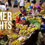 Summer Fruits of Goa - Cashew, Pineapple, Rose Water Apple, Kokum, Carranz, Cotton Fruit, Sweet Lime, Jackfruit