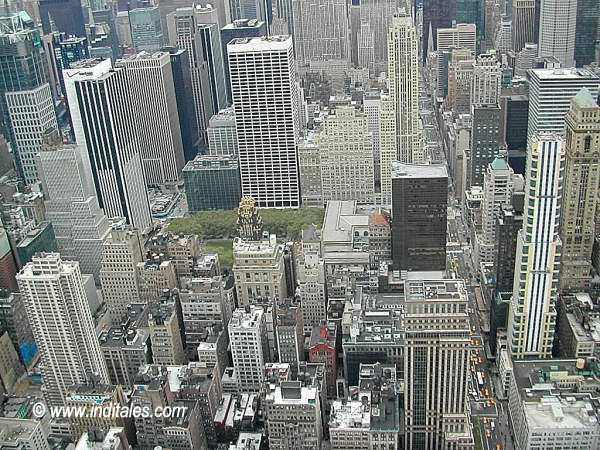 Top View from Empire Estate Building