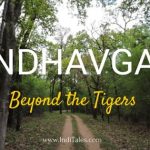 Bandhavgarh National Park beyond tigers