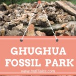 Ghughua fossil Park near Umaria in Madhya Pradesh