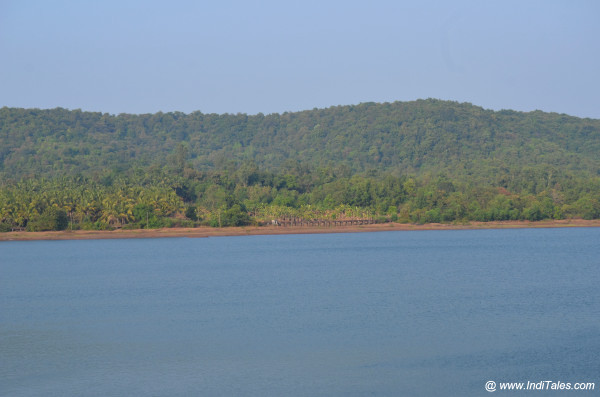 Amthane Dam view