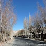 Ladakh in winters on a Drive towards Pangong Lake