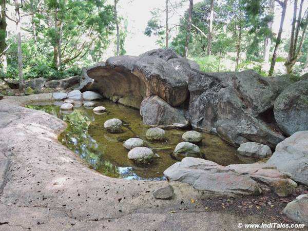 Pond at Evolution Garden