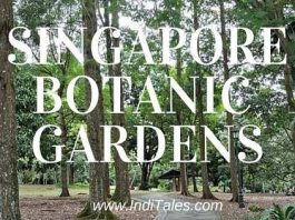 Singapore Botanic Gardens