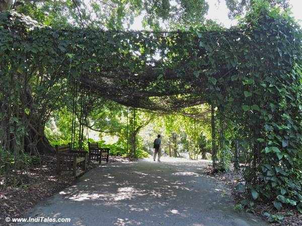 Green Walkways