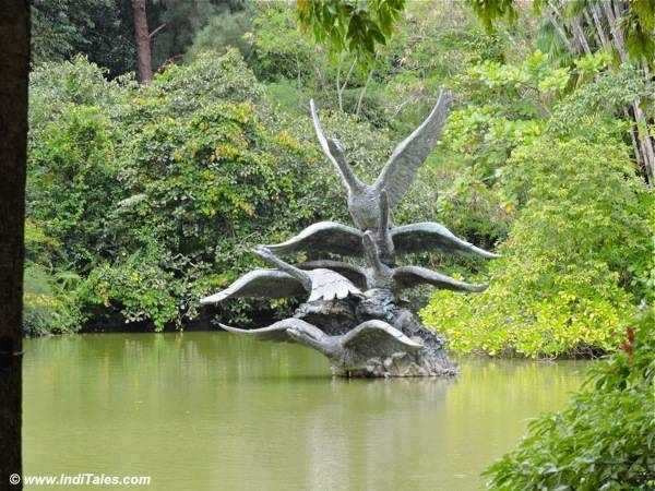 Swan Lake at Singapore Botanic Gardens