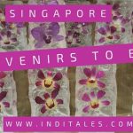 Singapore Souvenirs