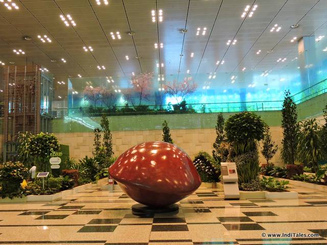 Saga Seed at Changi Airport Terminal 3