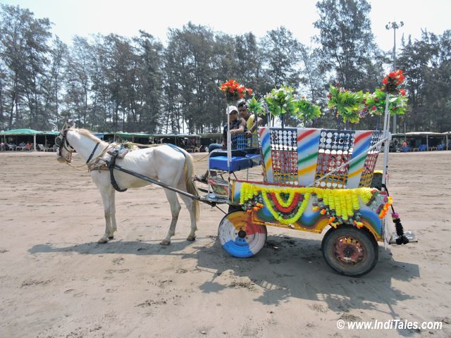 Colorful Horse Carts