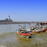 Daman Ganga Estuary