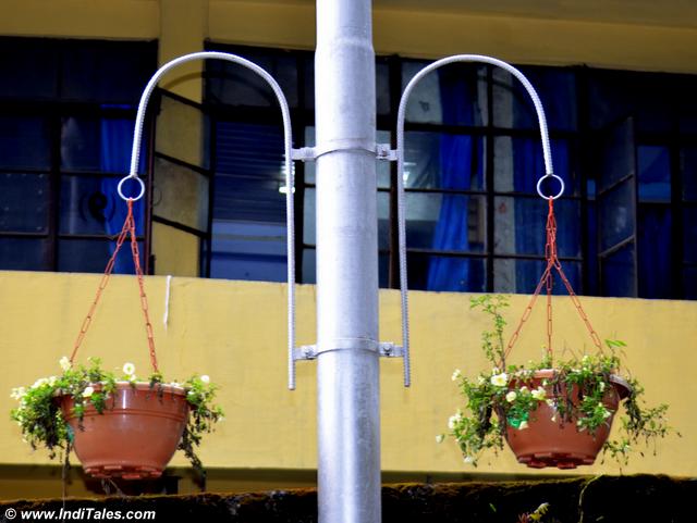 Flower pots on roads of Gangtok city