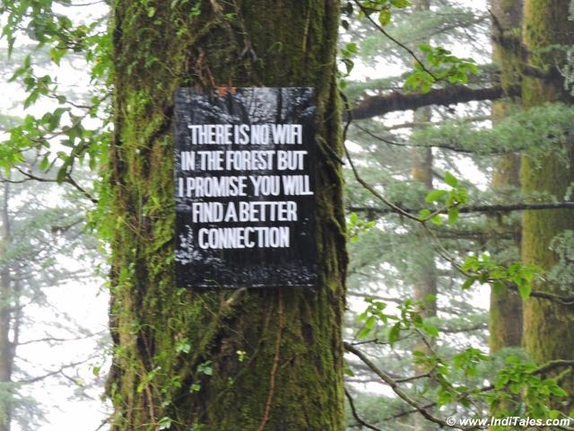 Tree boards at Landour