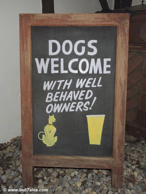 Dogs welcome with well-behaved owners