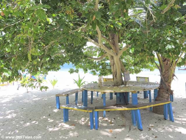 Bamboo table under the shade of a tree at Arborek Village, Raja Ampat