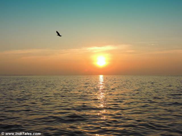 Sunrise-scene from the Sewri Jetty, Mumbai