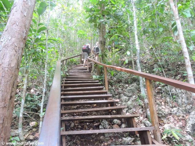 wooden staircase - star lagoon, pianemo islands, raja ampat, indonesia 