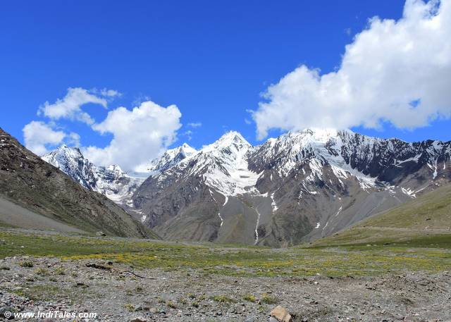 Valley of Yellow Flowers - Kunzum Pass, Spiti Valley, Himachal Pradesh