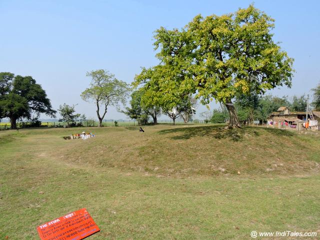 Karakuchhand Buddha Stupa at Gotihawa