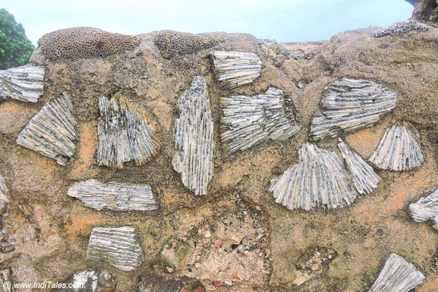 Porous Stones of Indian Ocean