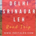 Delhi-Srinagar-Leh Road Trip