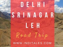 Delhi-Srinagar-Leh Road Trip