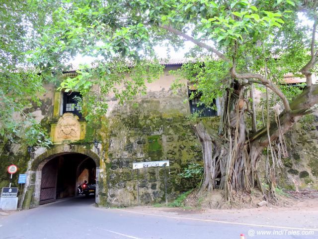 Arch and the tree at the entrance of Galle Fort