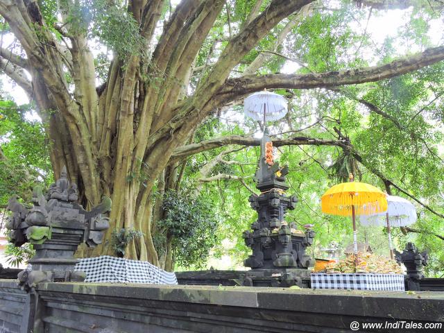 Tree Shrine at Tirta Empul Temple