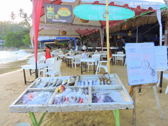 Fresh Fish being sold at Mirissa Beach