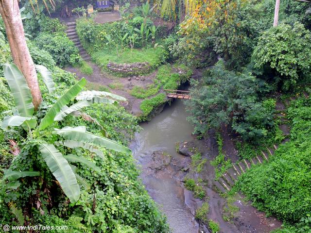 Campuhan Ridge Walk - Things to do in Ubud