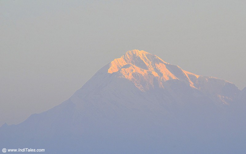 Nanda Devi Himalayan peak view from Binsar