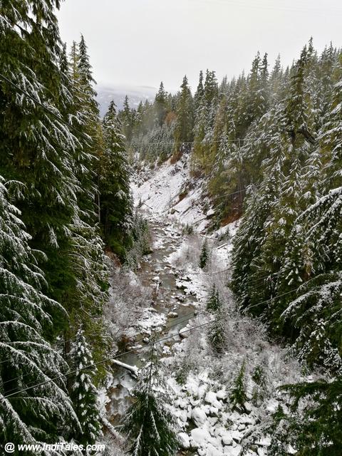 Ziplines across Whistler Creek