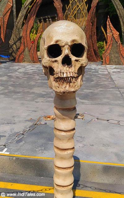 Human Skull at Ocean Park