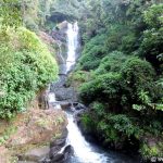 Vibhuti Falls in the Western Ghats of Uttara Kannada
