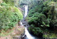 Vibhuti Falls in the Western Ghats of Uttara Kannada