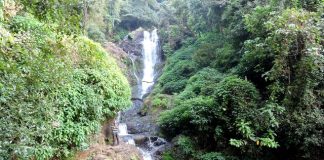 Vibhuti Falls in the Western Ghats of Uttara Kannada