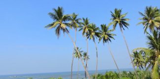 Indian Ocean from Amari Galle