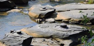 Shivalinga's carved on rocks in Shalmala river at Sahasralinga, Sirsi