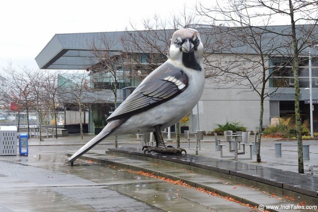 House Sparrow - Vancouver Modern Art